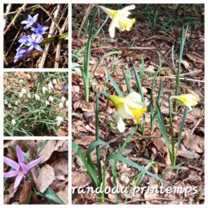 Rando du printemps