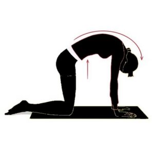 Etirements et Agilité Musculaire