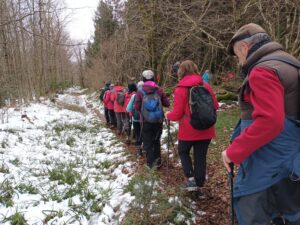 Rando des jonquilles