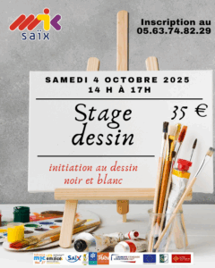 stage de dessin